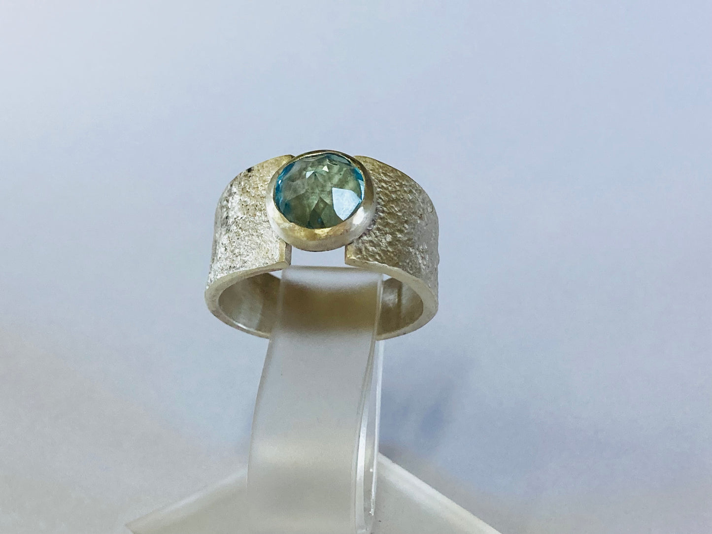 Anillo Agda