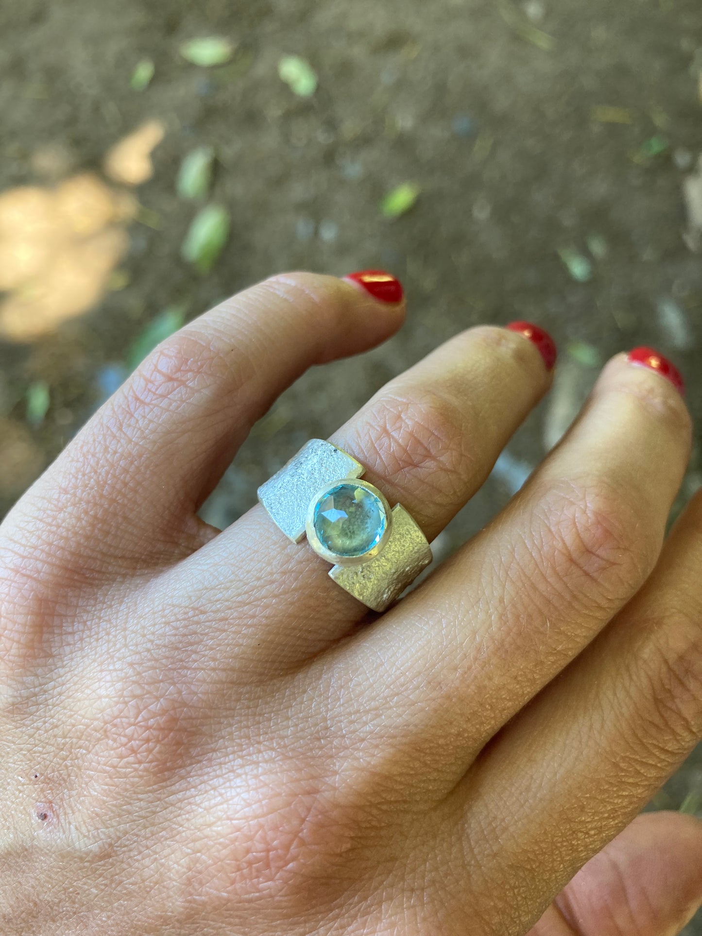 Anillo Agda