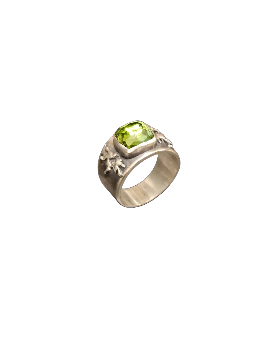 Anillo Raíces