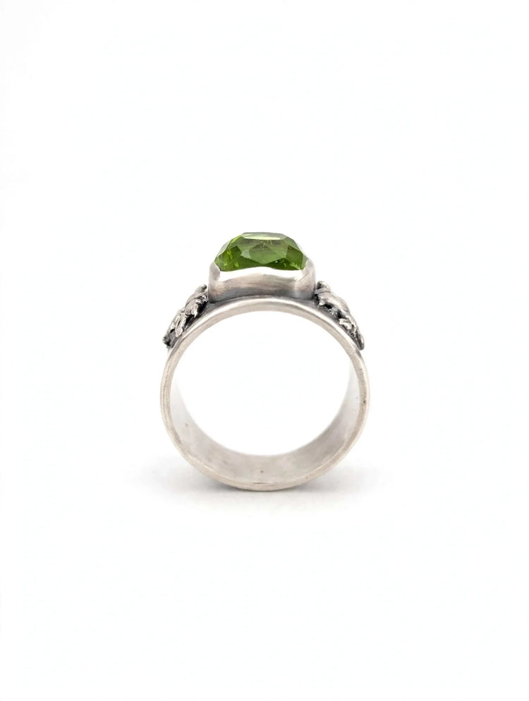 Anillos
