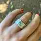 Anillo Agda