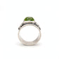 Anillo Raíces