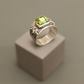 Anillo Raíces