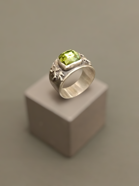 Anillo Raíces