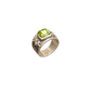 Anillo Raíces