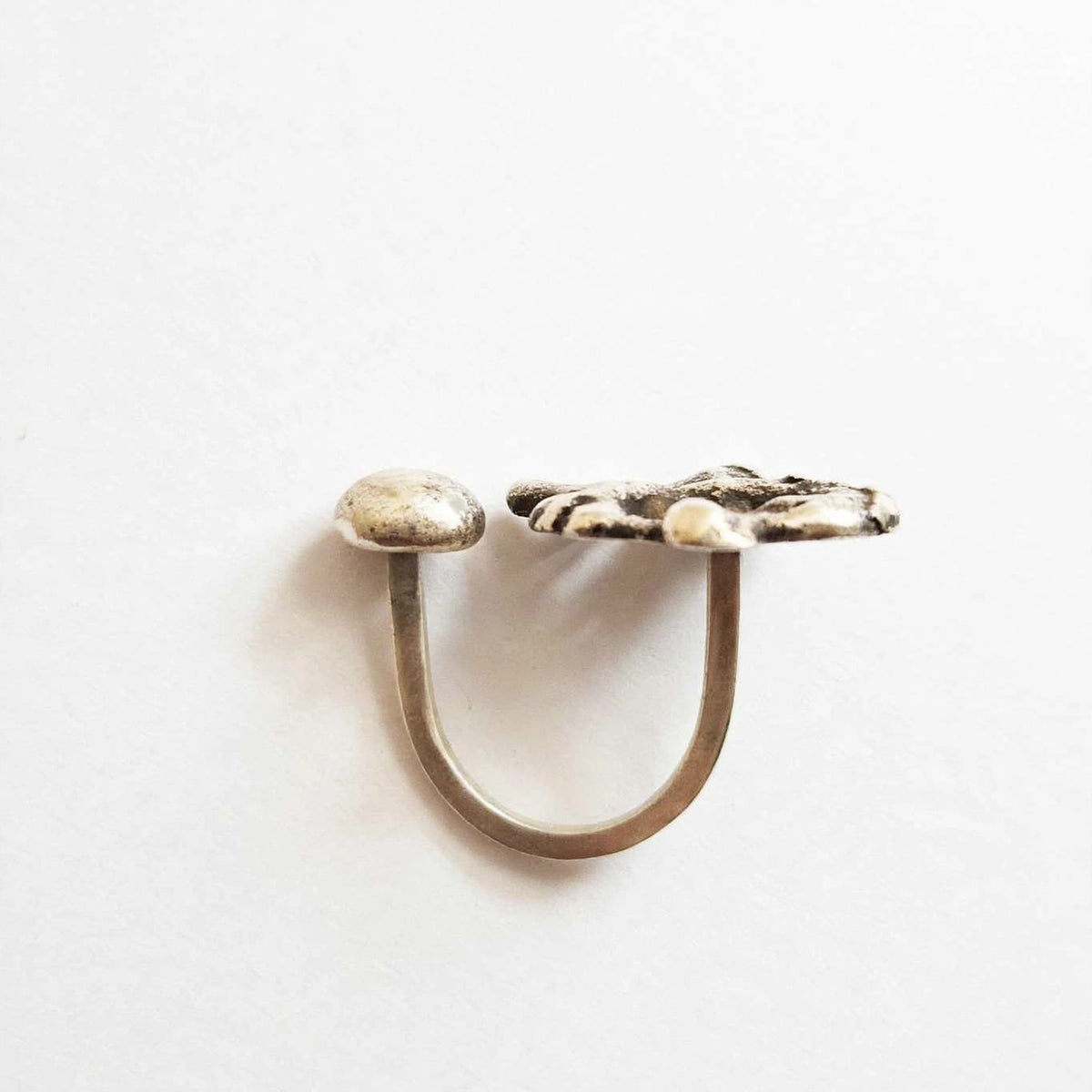 Anillo Dafna