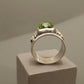 Anillo Raíces