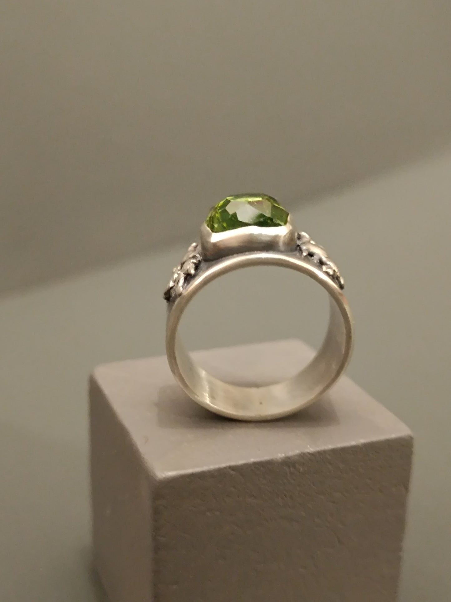 Anillo Raíces