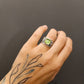 Anillo Raíces