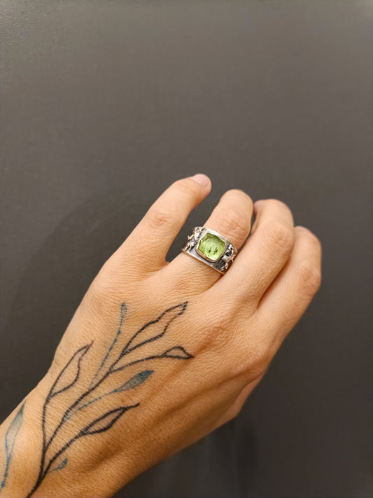 Anillo Raíces