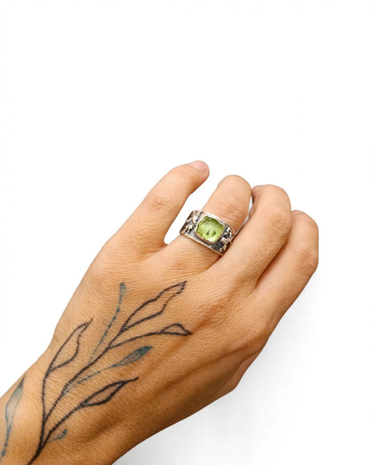 Anillo Raíces