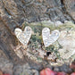 Aros Cipriana