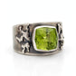 Anillo Raíces