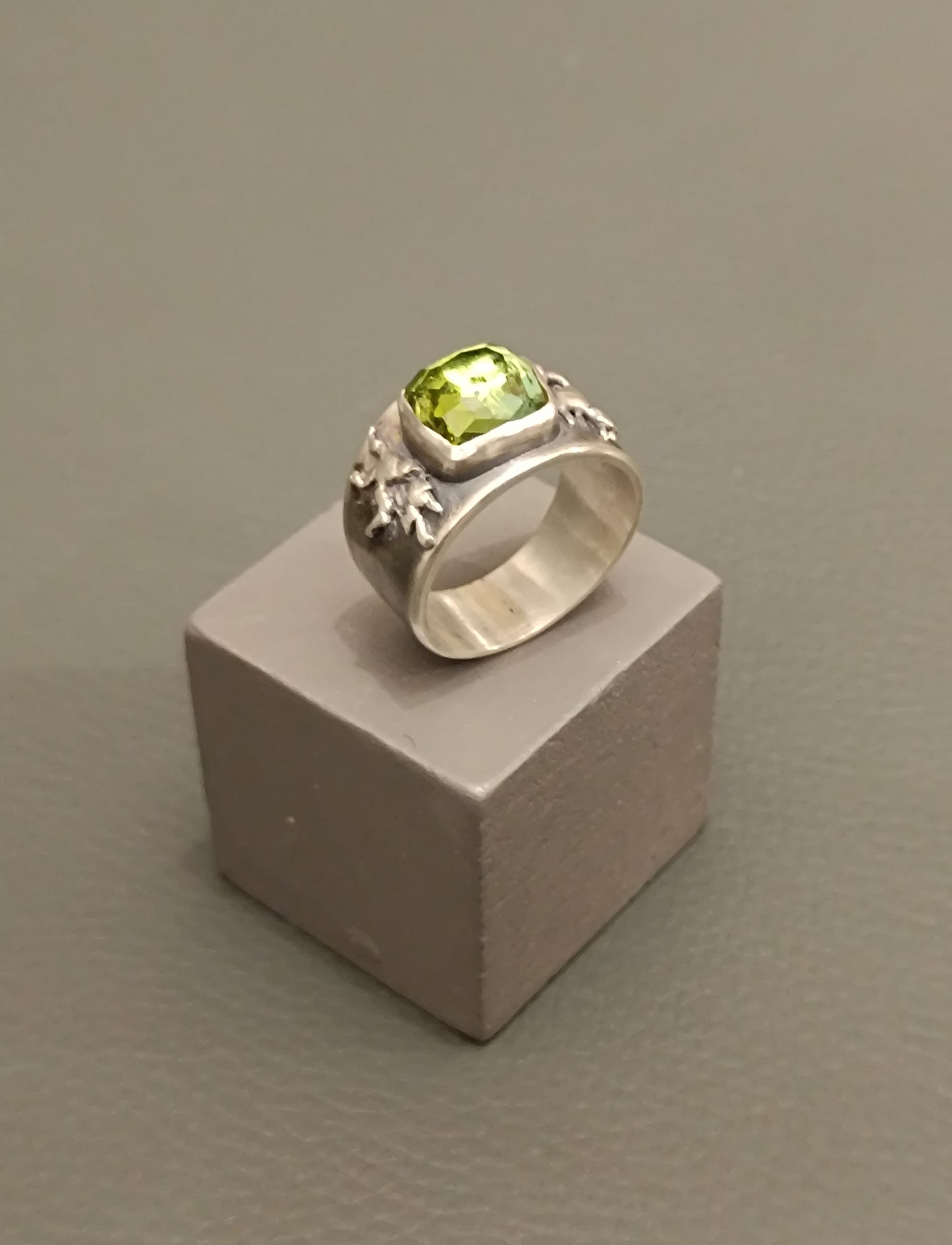 Anillo Raíces